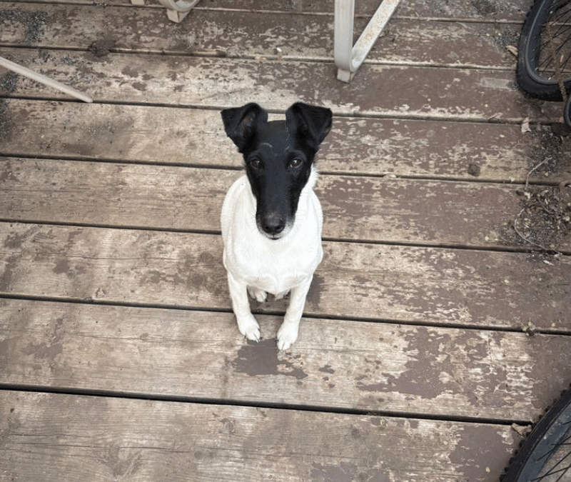 How Martin’s Snack Attack Really Started