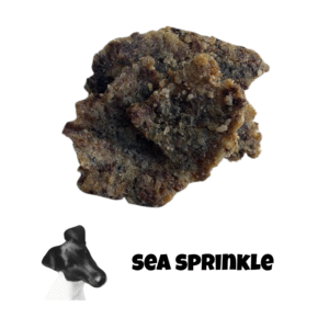 Sardine Topper – 100% Sardines