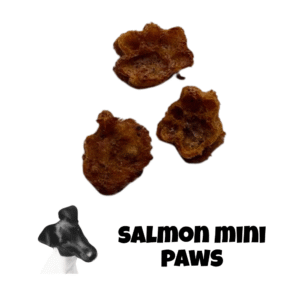 Savory Salmon Mini Paws – Everyday Reward Treats