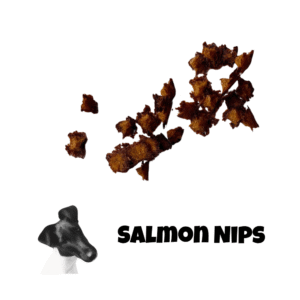 Savory Salmon Nips – Tiny Training Treats