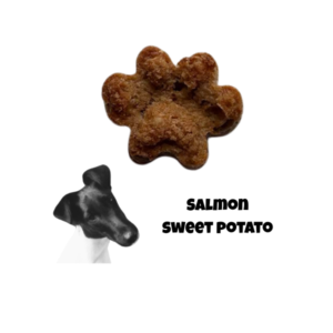 Savoury Salmon & Sweet Potato