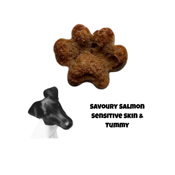 Savoury Salmon — Sensitive Skin & Tummy