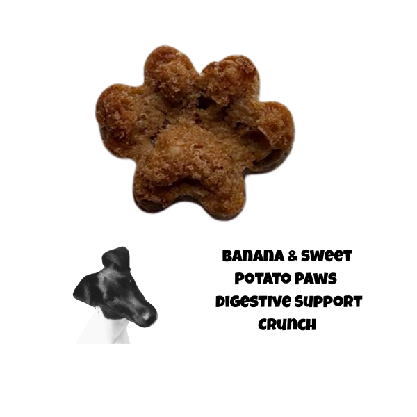 Banana & Sweet Potato Paws — Digestive Support Crunch